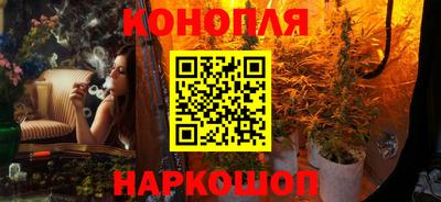 стаф Будённовск
