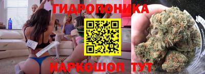 стаф Будённовск