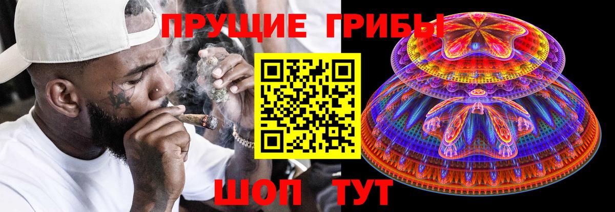 Галлюциногенные грибы ЛСД  Вход с VPN  Псилоцибиновые грибы ЛСД  даркнет сайт  Курчалой 